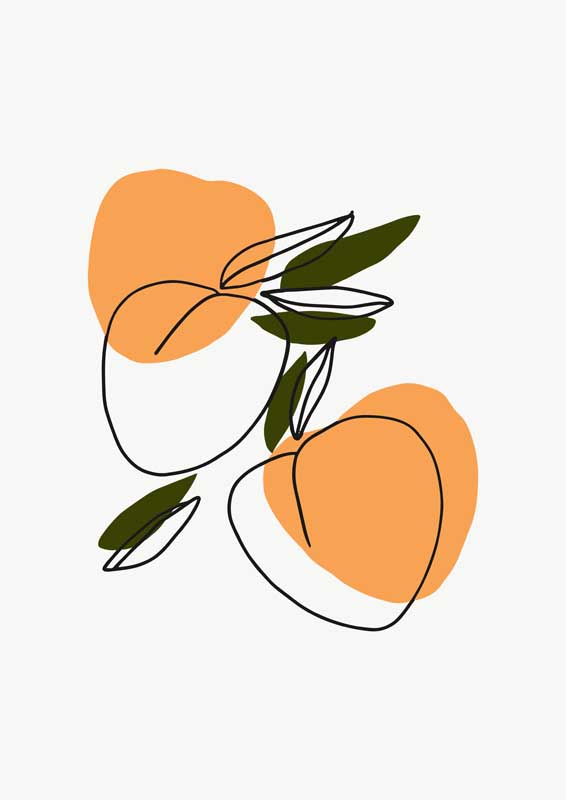 蒲公英研究所免费进入